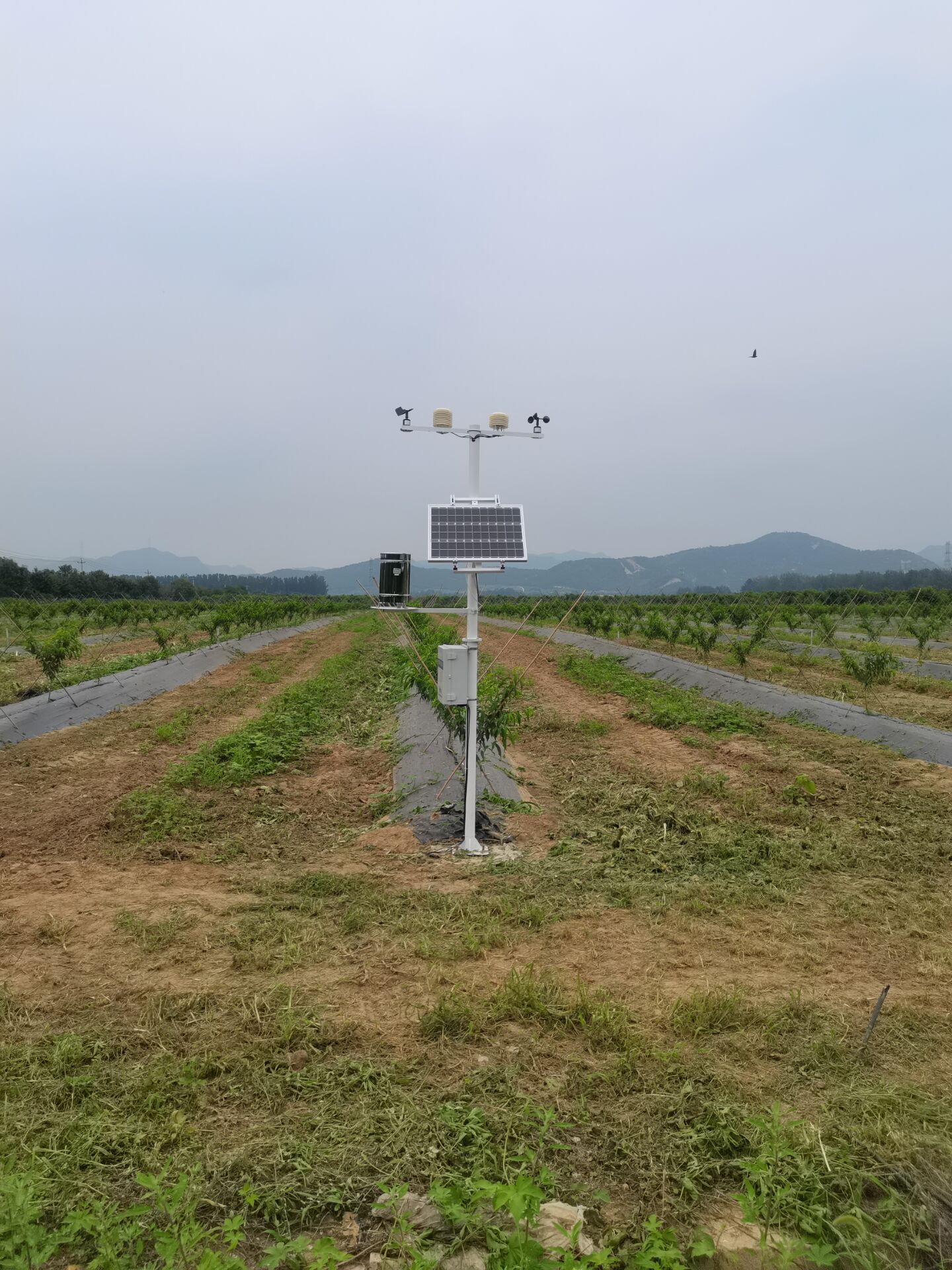 1647221699209197.jpg 1647221699209197.jpg